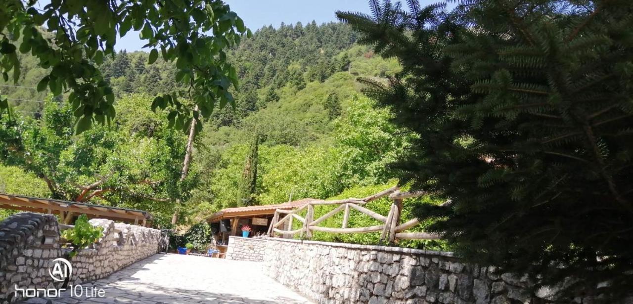 Petrina Theohari Villa Lekhouri Exterior foto