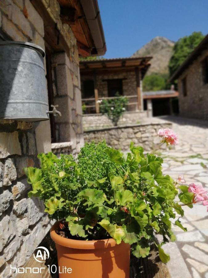 Petrina Theohari Villa Lekhouri Exterior foto