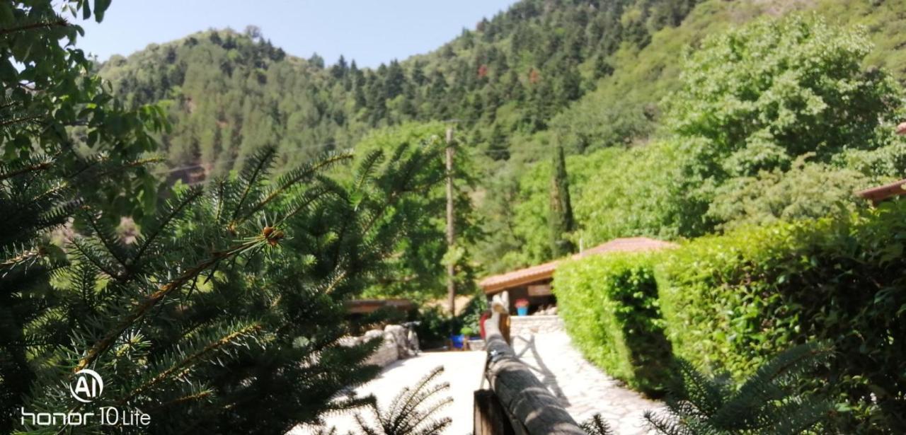 Petrina Theohari Villa Lekhouri Exterior foto