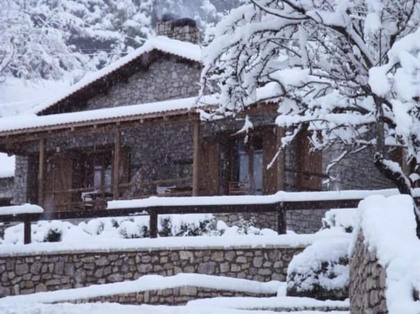 Petrina Theohari Villa Lekhouri Exterior foto